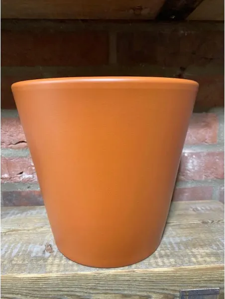 Buy 24cm Matt Burnt Orange Pot Online Indoor House Plants UK
