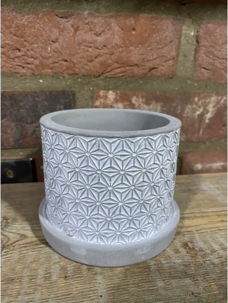 Buy 8.5cm Cement Pot Floral Pattern Online Indoor House